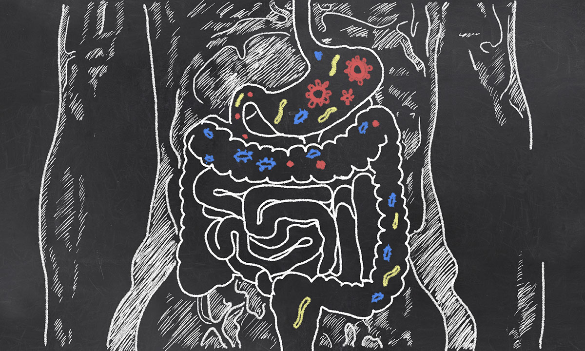 Chalk drawing of GI tract; understanding the digestive system and screenings options for colon cancer