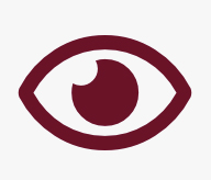 Vision: an icon graphic of a human eye.